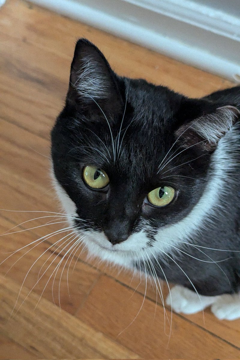 Thelma &amp; Louise update