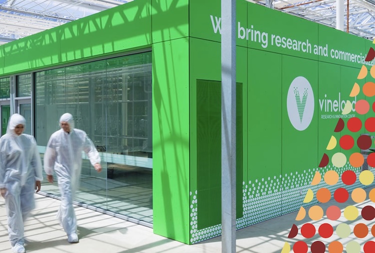 The Grower tweet media