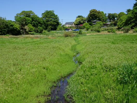 e_ikuon's tweet image. 今週末の24日土曜日に、越谷市郷土研究会様にて大宮台地を中心とした湧水についてお話をさせていただきます。まだ空きはあるようですので、もしよろしければ引用先のリンク参照ください。