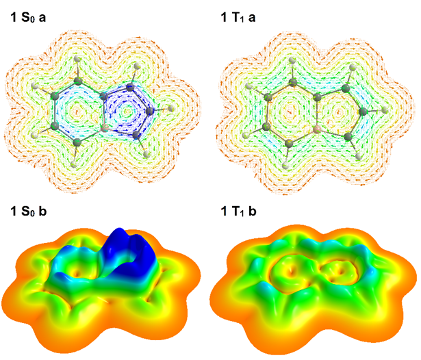 Cina Foroutan-Nejad 🇮🇷 🇵🇱 tweet media