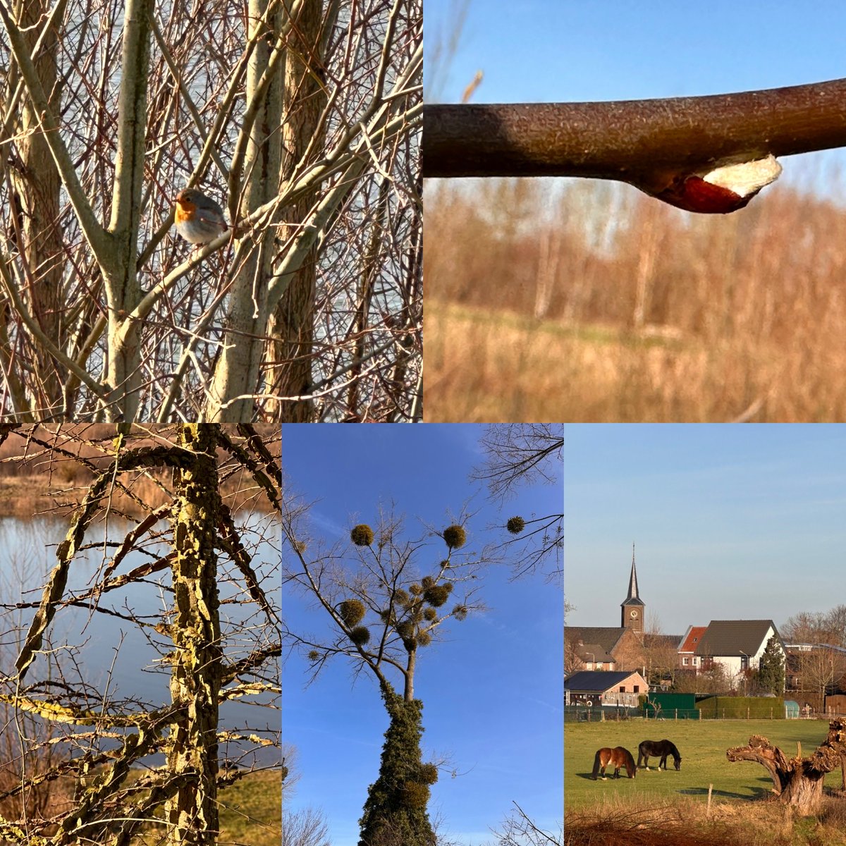 Rondje om de vijver…heerlijk.