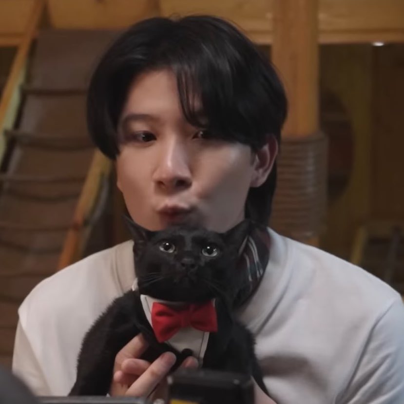 kyjmoxn's tweet photo. as my dn suggests im part of the cast but now i’ll finally reveal which one 

#CatForCashEP1 https://t.co/rbVLwdibEk