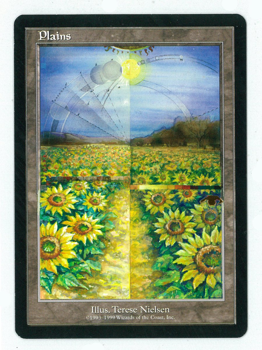 拡張アート 《平地/Plains》グルランド ご依頼品です。 有難うご