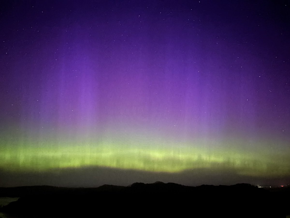 Alex Strauch tweet media