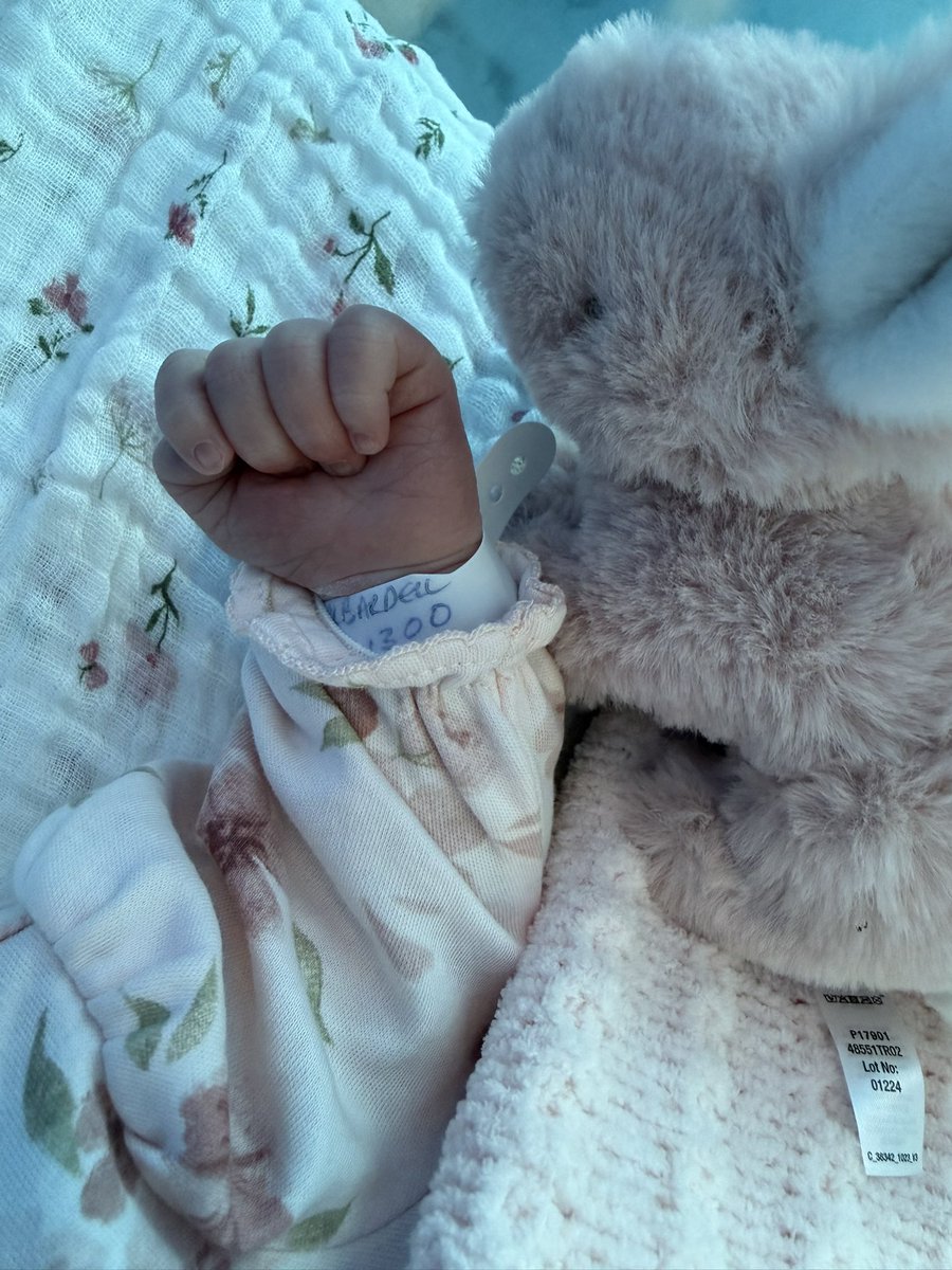 Dan Bardell tweet media