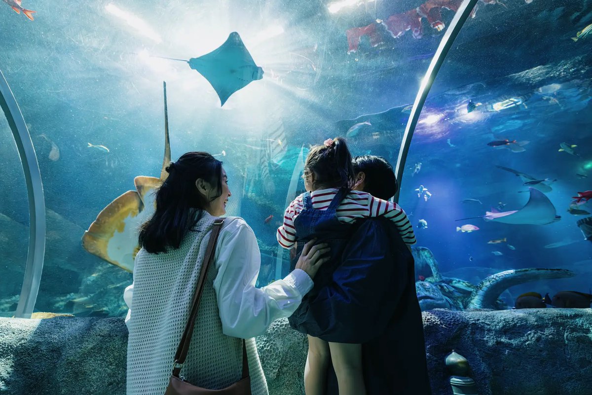 oinagoya's tweet image. 名古屋シーライフ水族館で1月30日から、『あつまれ どうぶつの森』のゲームに登場するサカナや海の幸30種類以上が展示される
海の生きもの ふれあい展 が開催されるよ！

各水槽でフータの解説も展示される機会に、気軽に足を運んでみてね～✨️
prtimes.jp/main/html/rd/p…