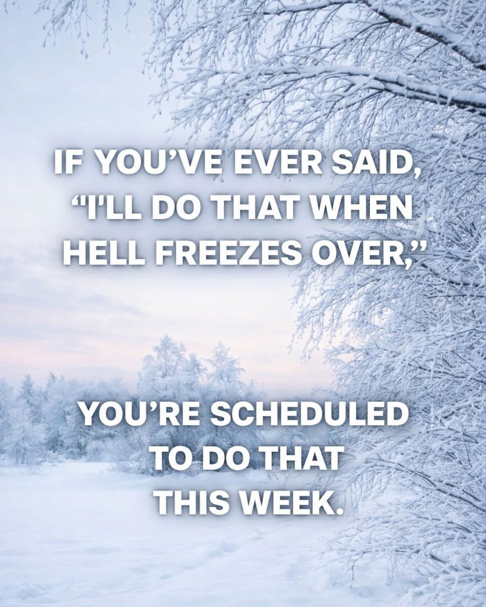 JamesHu27192912's tweet image. 