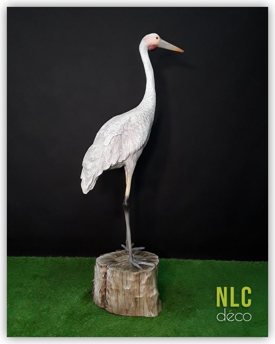 NLC DECO tweet media