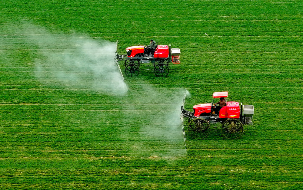 DailyBeijing's tweet image. 寒冬里的耕耘与希望
Farmers across many parts of #China are busy with winter sowing and #harvesting #activities, making preparations for the upcoming spring cultivation. #agriculture #farming #farminglife #farmer