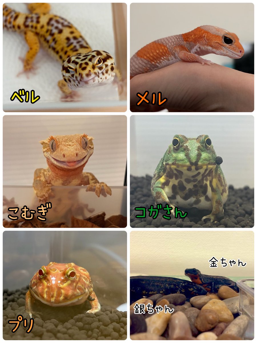 なむやん(⃔ ॑꒳ ॑*)⃕↝🪥 tweet media