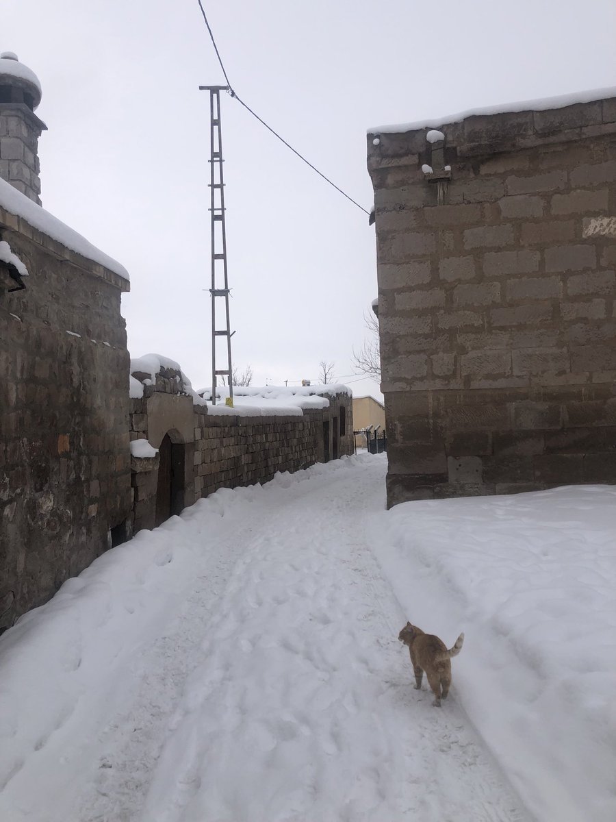 legendseagull's tweet photo. Tarih kokan taş evler güzelliği https://t.co/LgrhXv9jzB