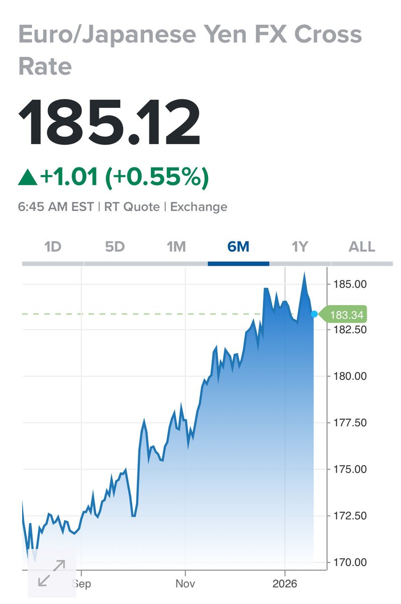 ほんまこれですね 対ドルと対ユーロ ポンドや豪ドルも見てます