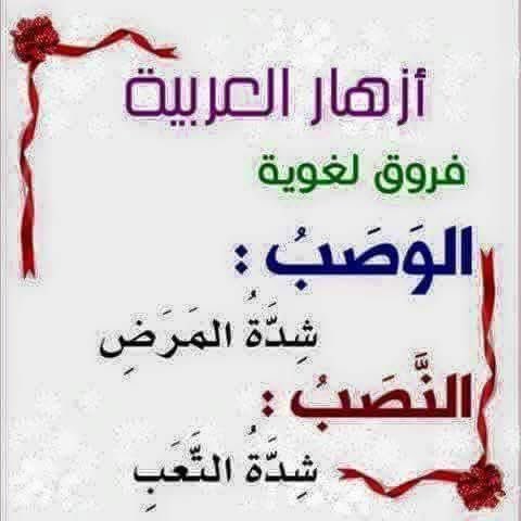 #هدايا_البدر  #ثقف_نفسك  2️⃣