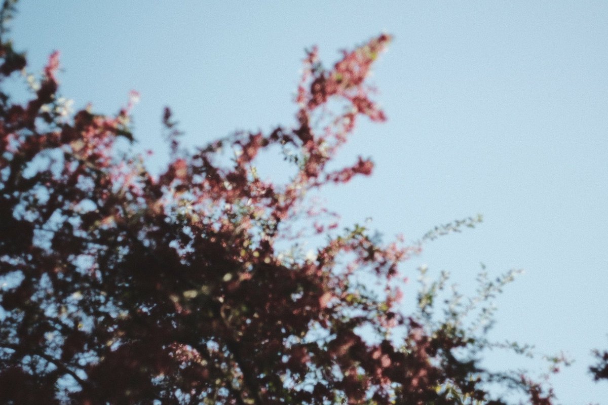 FUJIFILM X-E3 
RICOH XR RIKENON 50/2