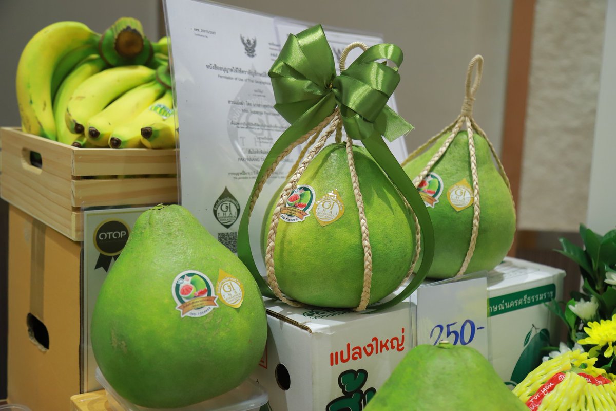 KuSongkhla's tweet image. 📌กรมส่งเสริมการเกษตรเดินหน้า Reskill–Upskill เกษตรกร ปั้นผู้ประกอบการตลาดเกษตรยุคดิจิทัล เชี่ยวชาญทั้งออฟไลน์–ออนไลน์👇
facebook.com/share/p/17oRwy…
#กรมส่งเสริมการเกษตรเดินหน้า 
#ReskillUpskill 
#ผู้ประกอบการตลาดเกษตรยุคดิจิทัล 
#วิทยุมก #kuradionetwork