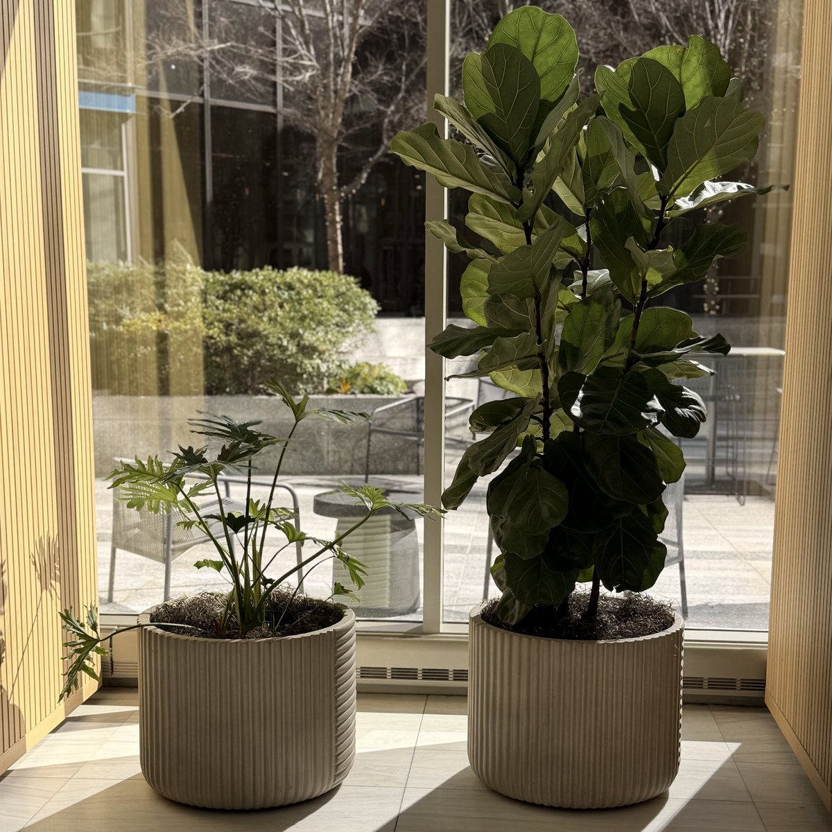 NaimahPears's tweet image. It is you who create your own happiness, opportunities, and wealth. Speak life into your own destiny! ✨

Blessings to you on this beautiful Winter day. 

#SimpleLife #SlowLiving  #CalmVibes
Good Morning | 6:42 am| Tuesday Morning | CLT