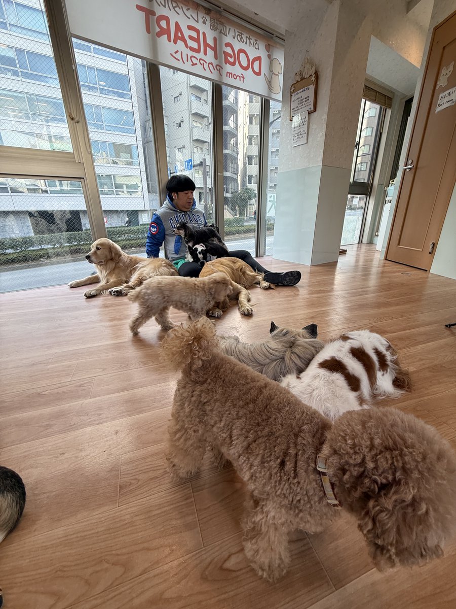 バナナマン日村が歩く！ウォーキングのひむ太郎【公式