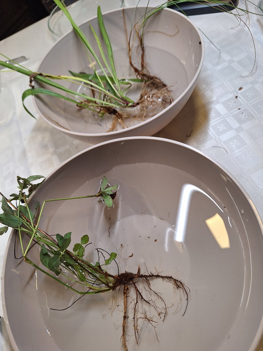 Go Belowground! tweet media