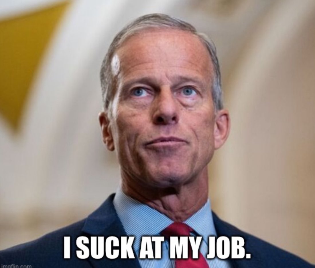1Nicdar's tweet image. Attn: John Thune. 

We do not care if you have enough votes to pass Voter ID and proof of citizenship.

Hold the vote so we know where all Senators stand on the record.

Signed, 77M Real Americans.

@LeaderJohnThune