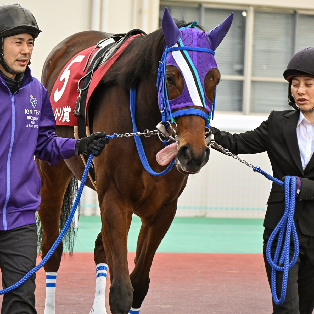 アバカス (@abacus_pangya) / Posts / X