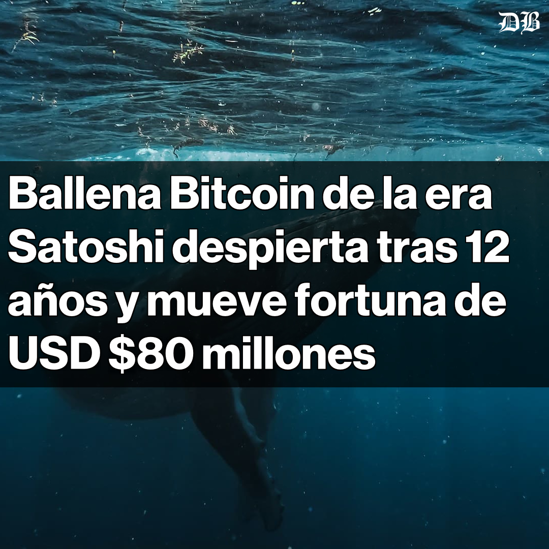 🚨 Ballena Bitcoin despierta tras 12 años y mueve 909 BTC, equivalentes a  USD $82 millones La billetera, activa entre 2012 y 2013, acumuló fondos  cuando BTC costaba menos de USD $10.