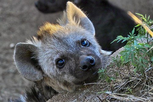 HourlyYeen's tweet photo. [🔗](https://t.co/WzhpVfavZ6) https://t.co/tYptP3rZFv
