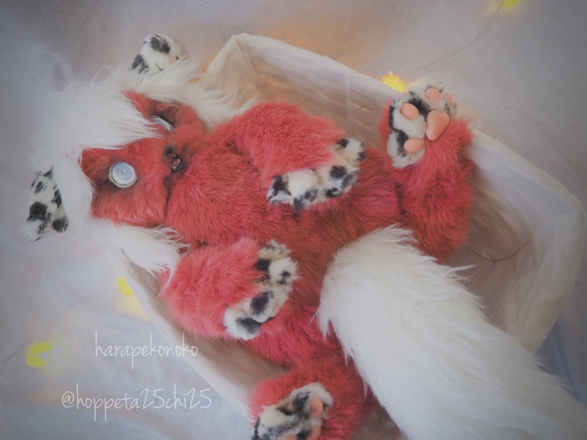 ハラペコ (@hoppeta25chi25) / Posts / X