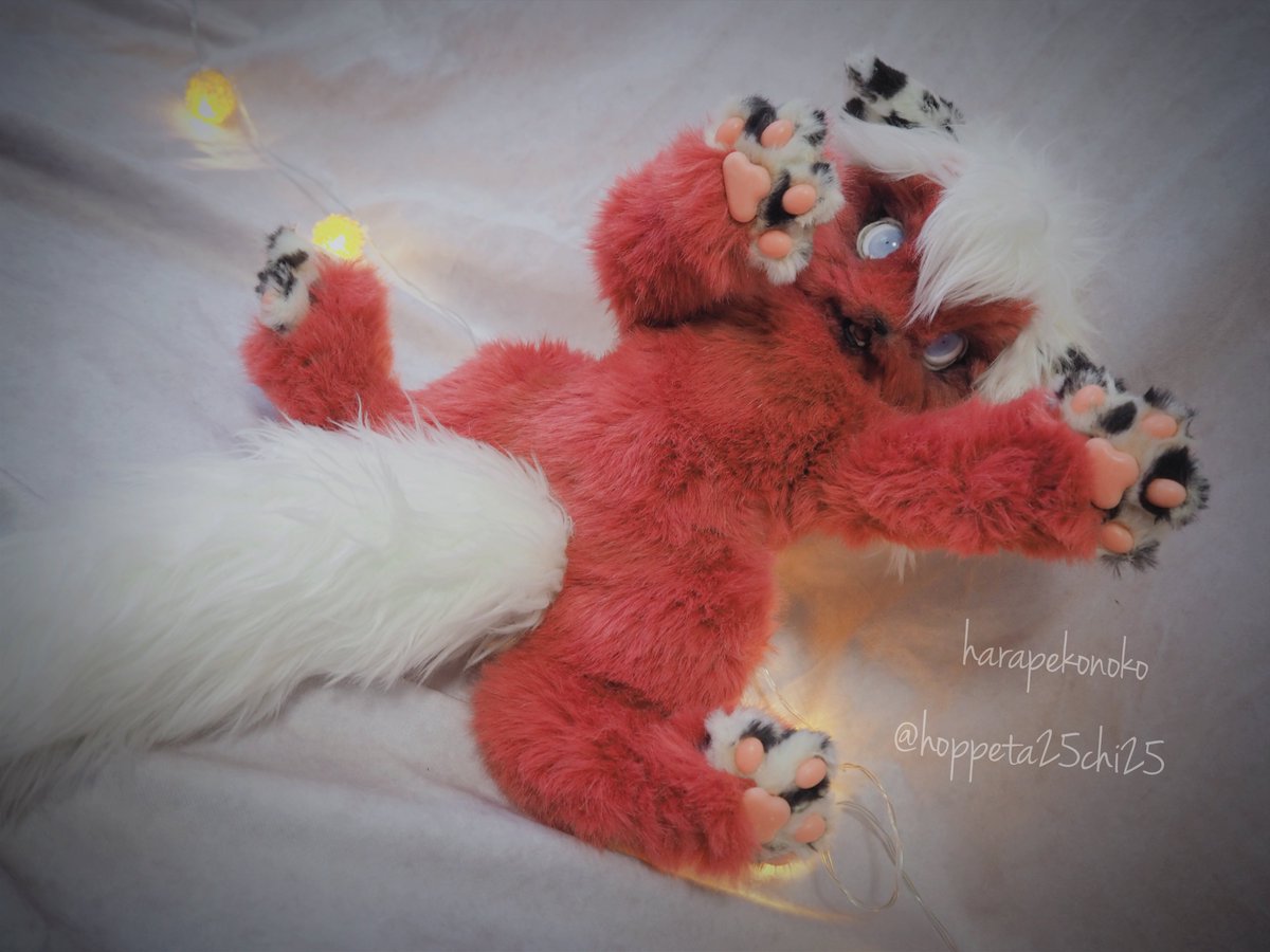 ハラペコ (@hoppeta25chi25) / Posts / X