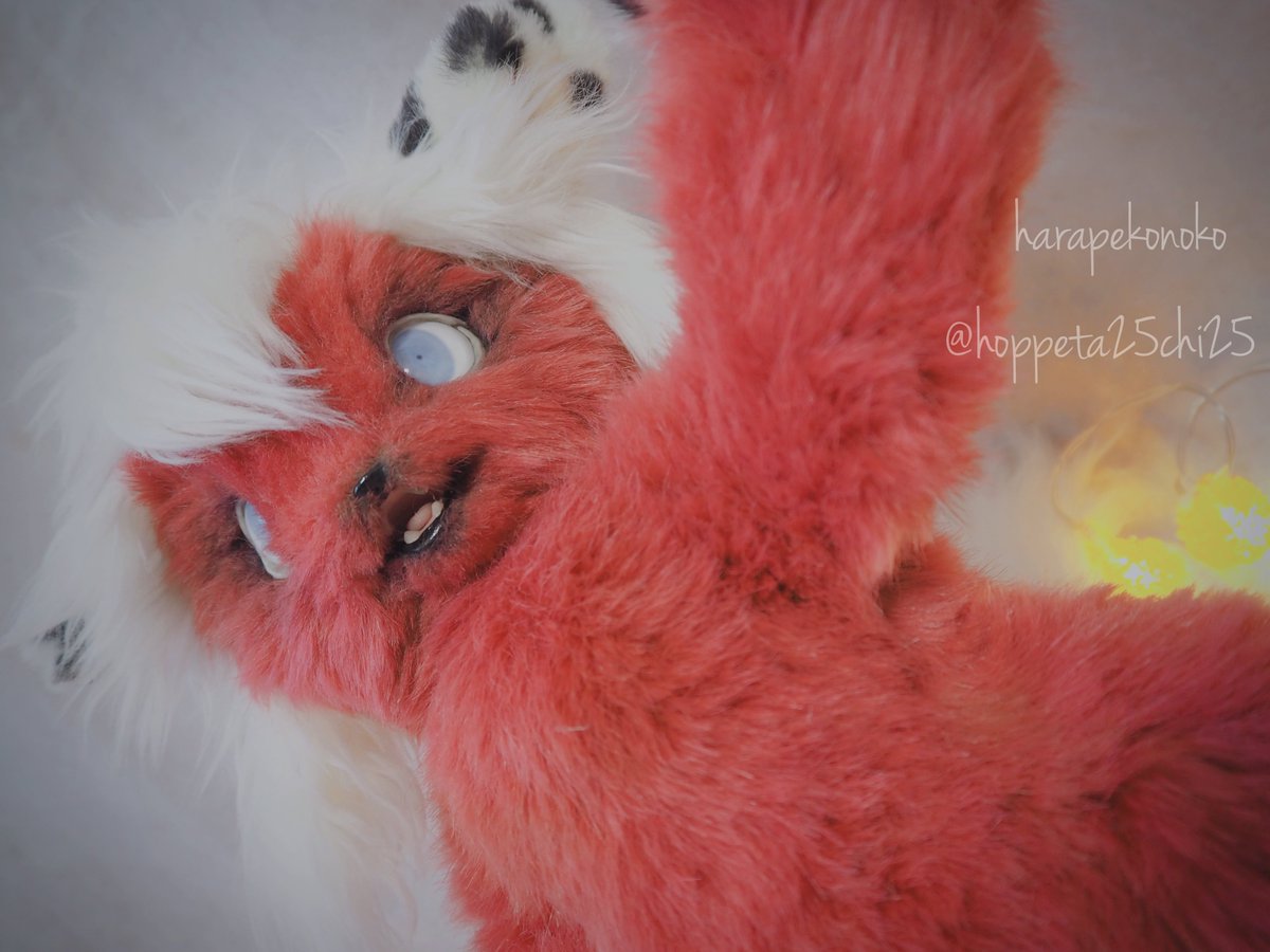 ハラペコ (@hoppeta25chi25) / Posts / X