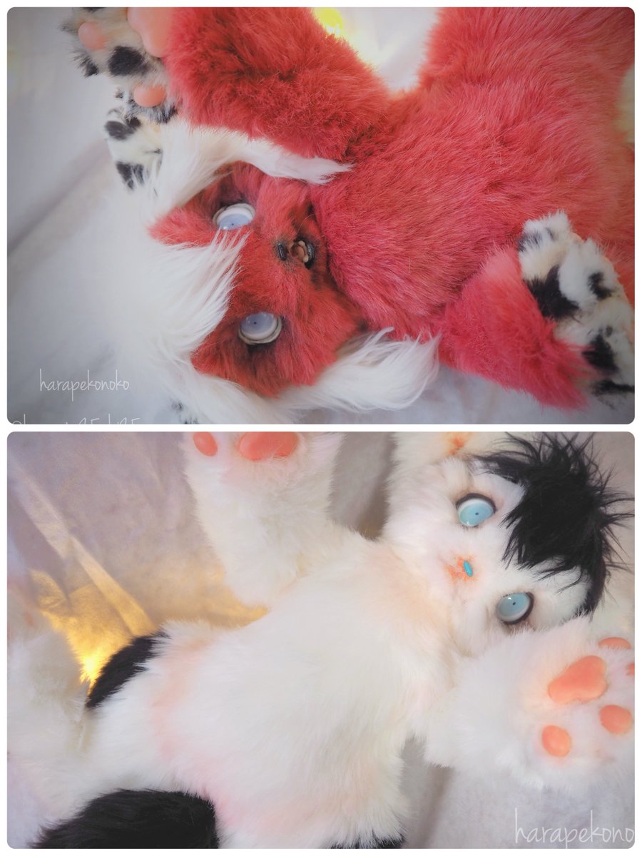 ハラペコ (@hoppeta25chi25) / Posts / X