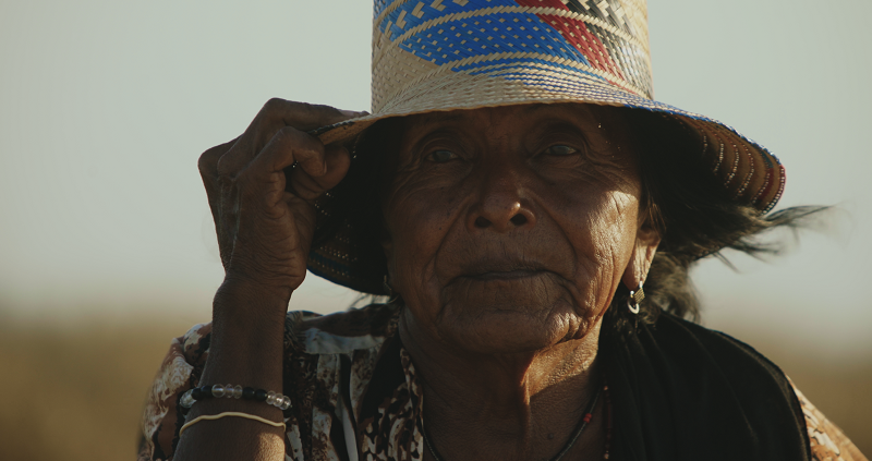 Cinematografia Queer tweet media