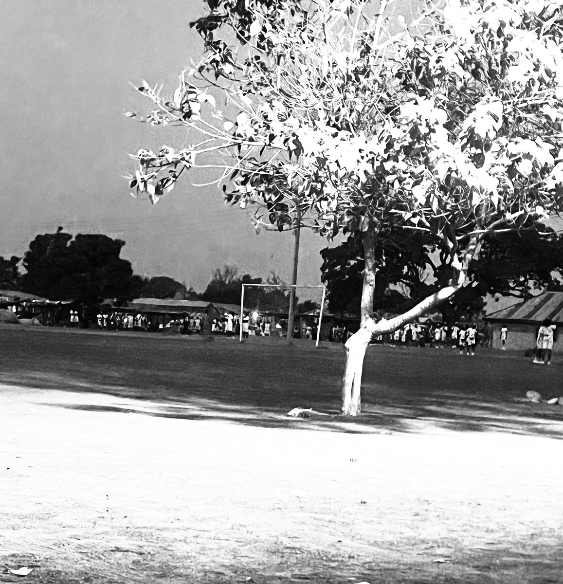 🎶Web3 GUITARIST🎸 tweet media