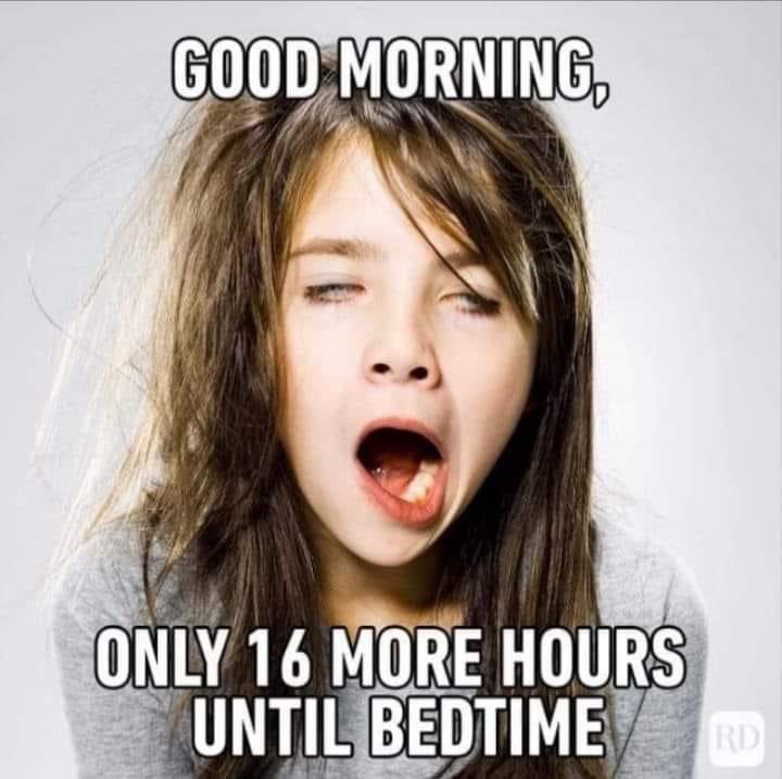 Good morning