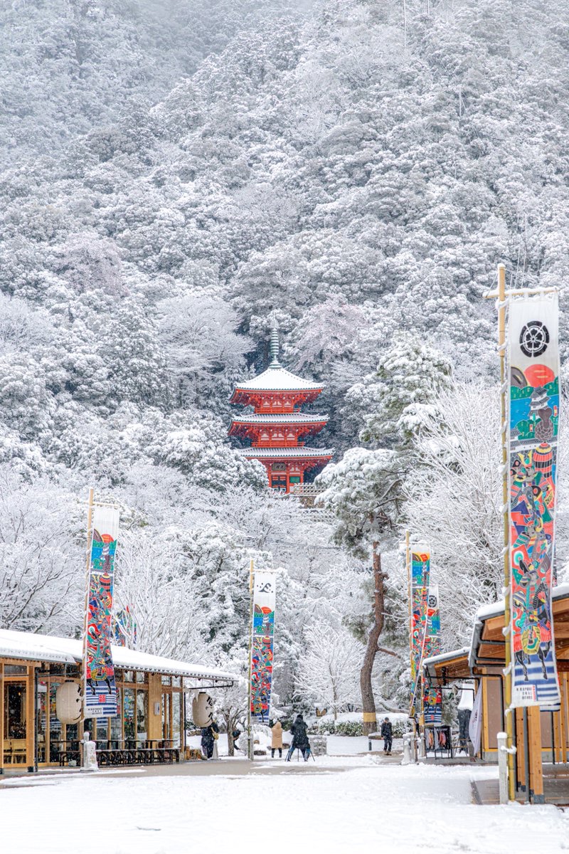 岐阜公園が雪で白く染まった日