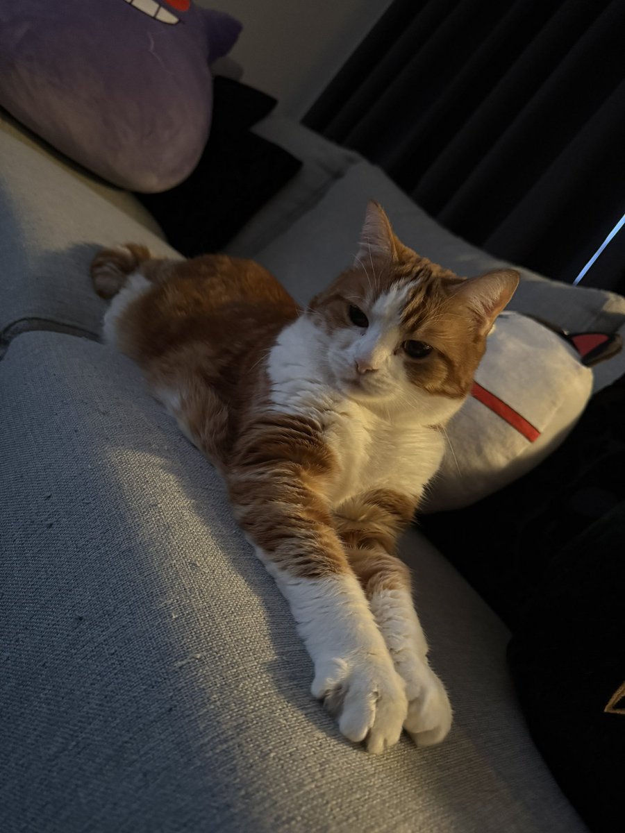 ⭐「エス」 tweet media