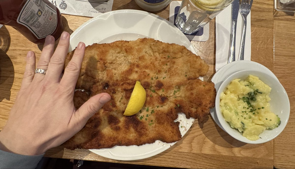 Kosta Derpanis (sabbatical in Munich 🇩🇪) tweet media