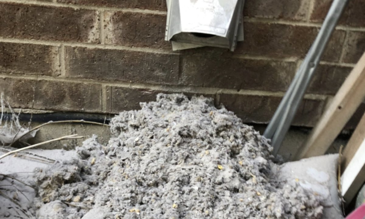 EmDuct's tweet image. Did you know clogged dryer vents are a major fire hazard? Regular cleaning keeps your home safe, your dryer running efficiently, and energy bills lower. 
Emductcleaning.com
312-561-3336 

#DryerVentCleaning #HomeSafety #FireSafety #DuctCleaningExperts #ChicagoDryerVentClea