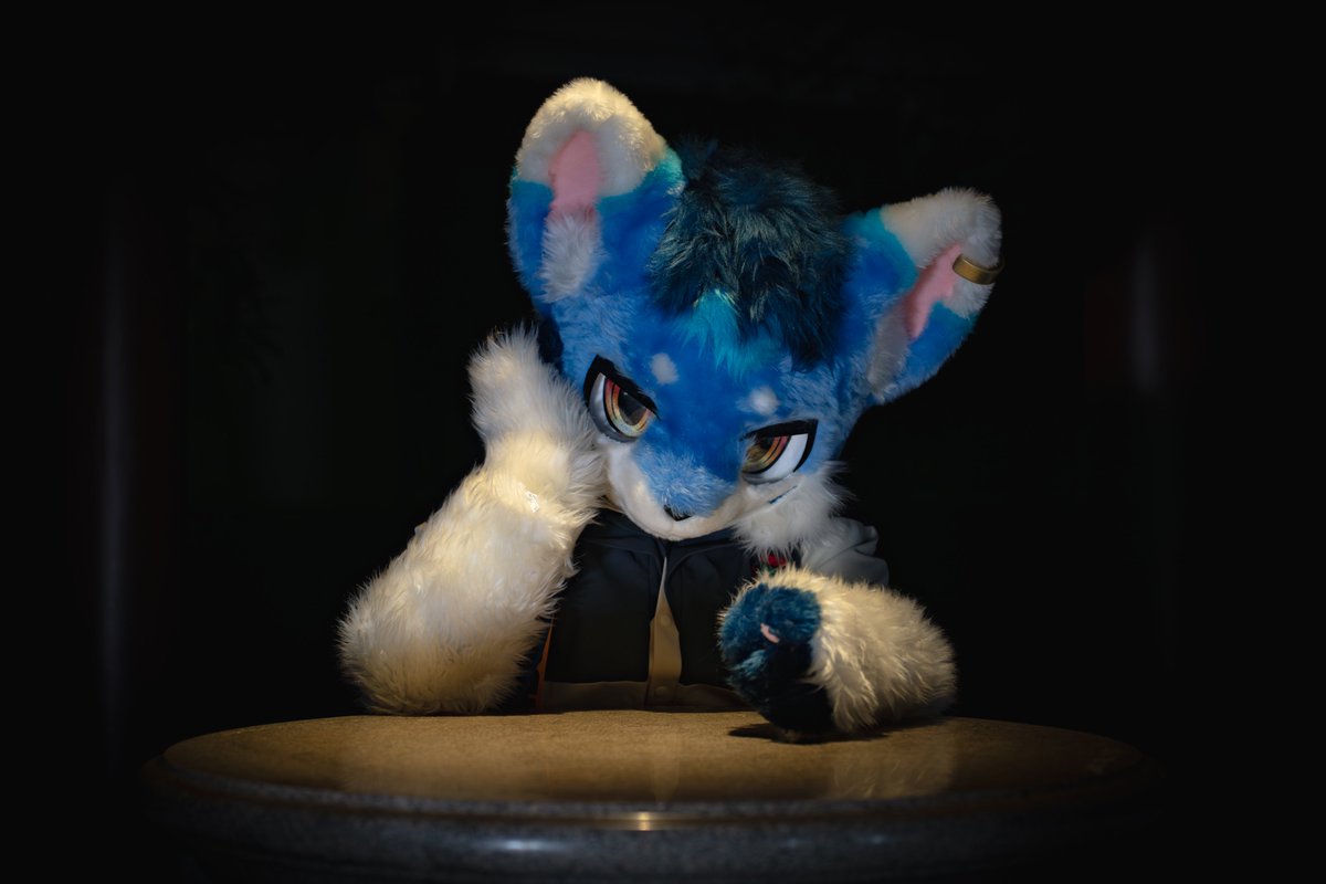 橙色噬元兽🔜Hifurry tweet media