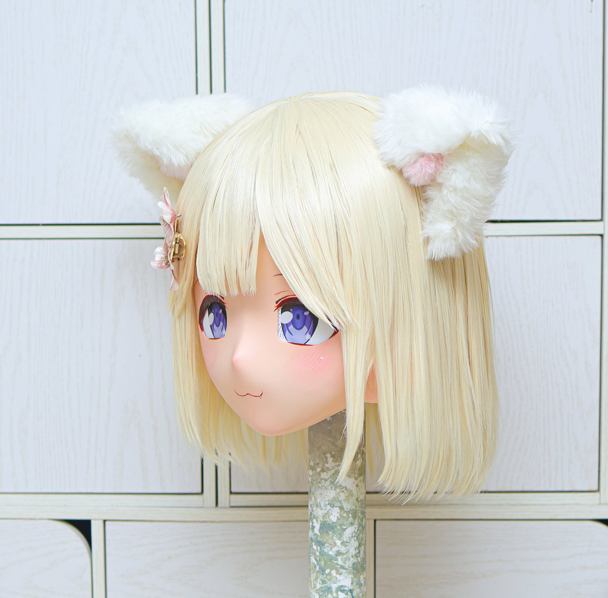 kamishiro_yuu1's tweet image. 新しいソレイユちゃん、春を呼ぶ猫ちゃんです^ ̳.  ̫ . ̳^ฅ💓
桜ロケ等に行ってほしい…！(͒ ⸝⸝•̥𖥦•̥⸝⸝)͒🌸