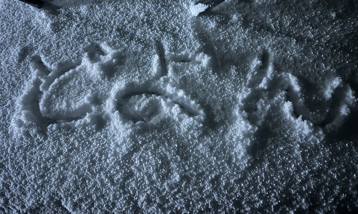 毎年こーやって遊んでる😸😸