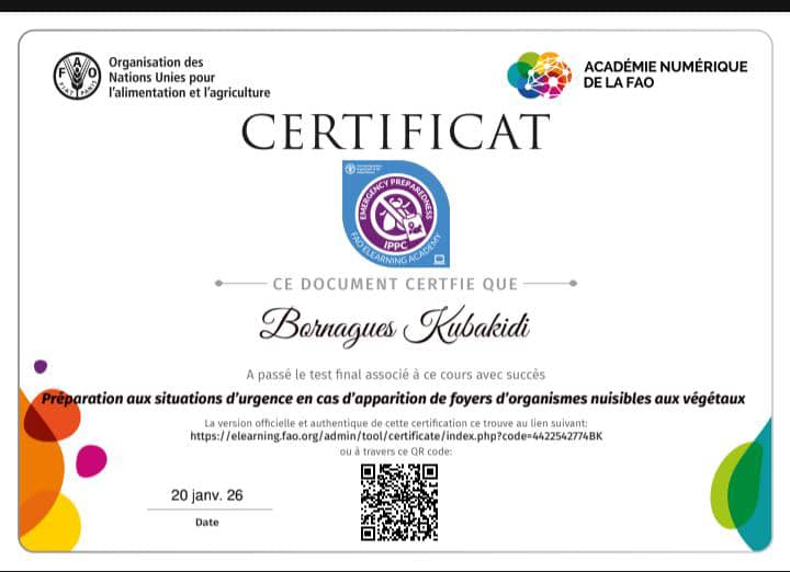 Bornagues🇨🇩Kubakidi tweet media