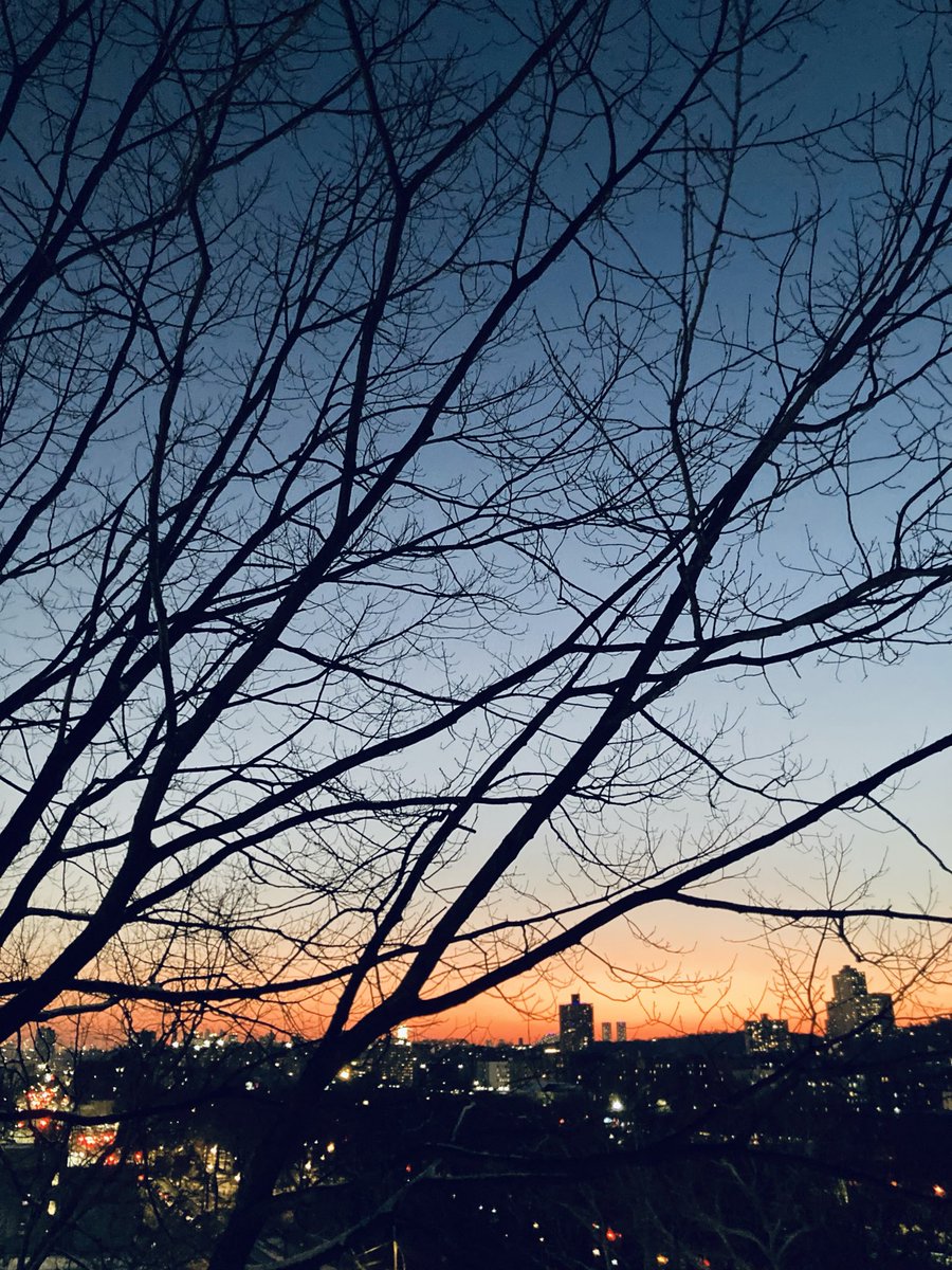 Megumi Yonezawa (@megumimusik) / Posts / X