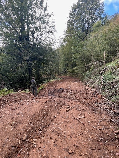 Guardas_na's tweet image. Al terminar una explotación forestal y durante el aprovechamiento, es necesaria la realización de cortes de agua para el mantenimiento adecuado de las pistas. Señala los lugares para su realización al maderista.