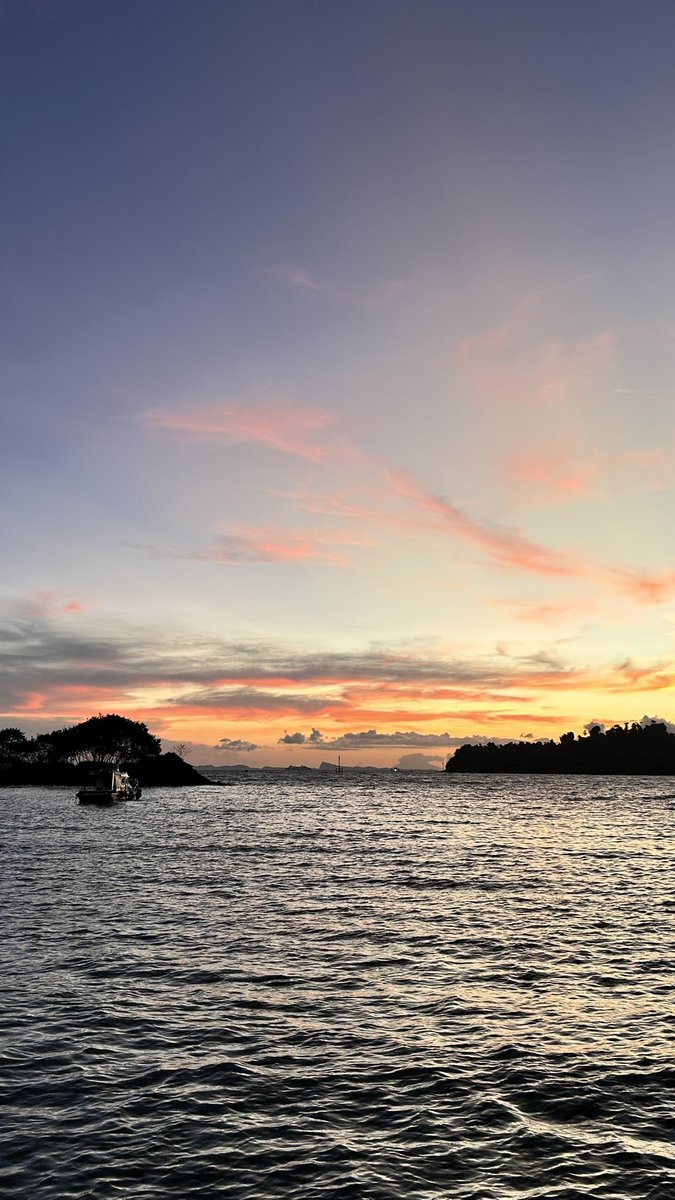 sentuh's tweet image. oi kangen merak😥