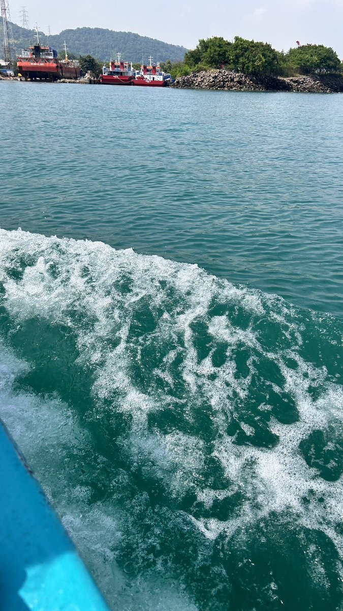 sentuh's tweet image. oi kangen merak😥