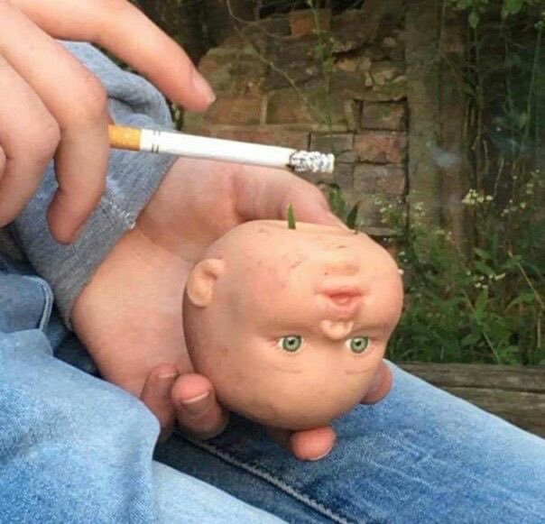 llpipi's tweet image. 