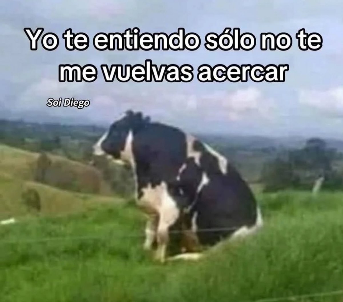 skereunpesado's tweet image. 