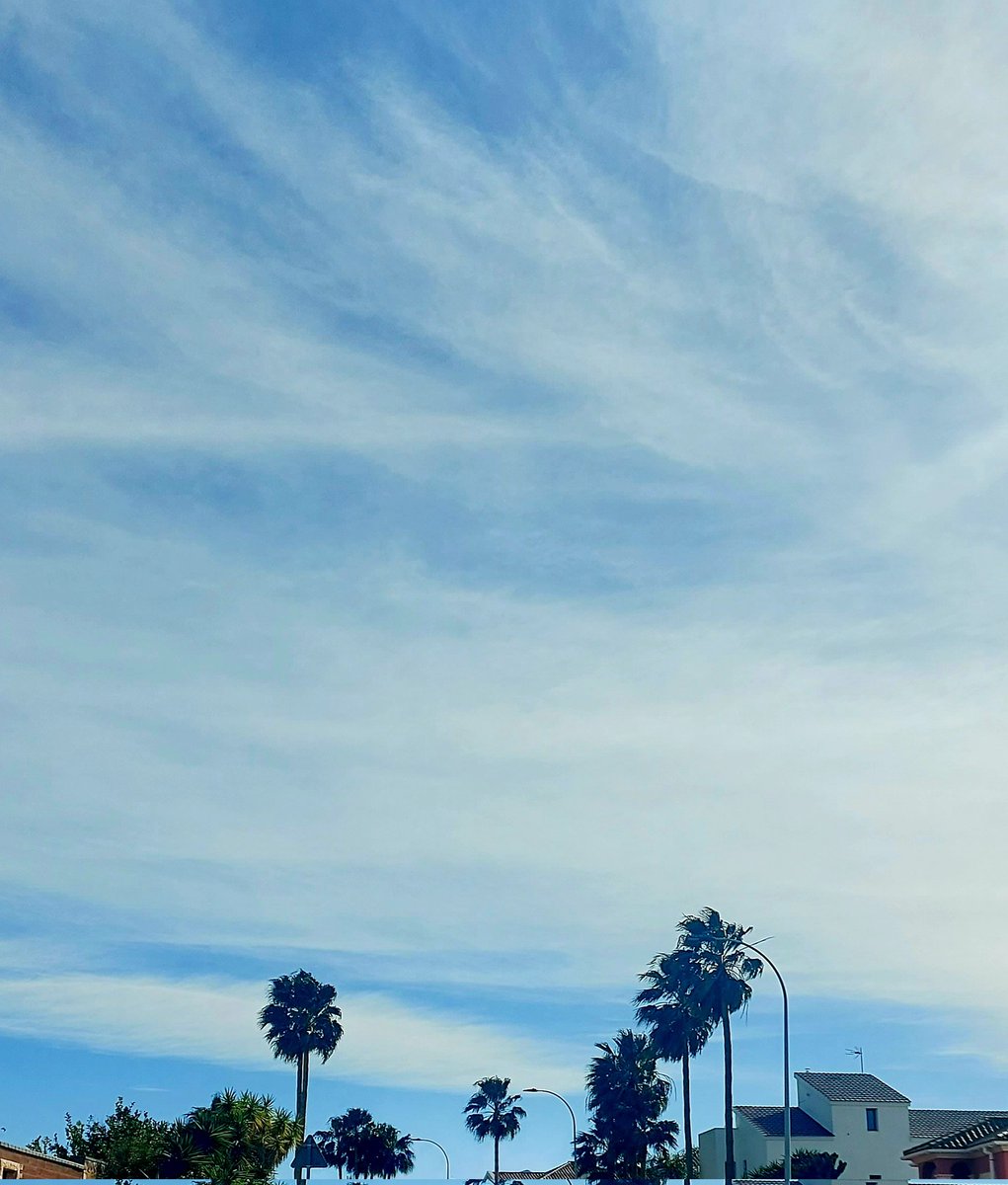 Os traigo algo de luz con el palmerasso.

Nastardes.