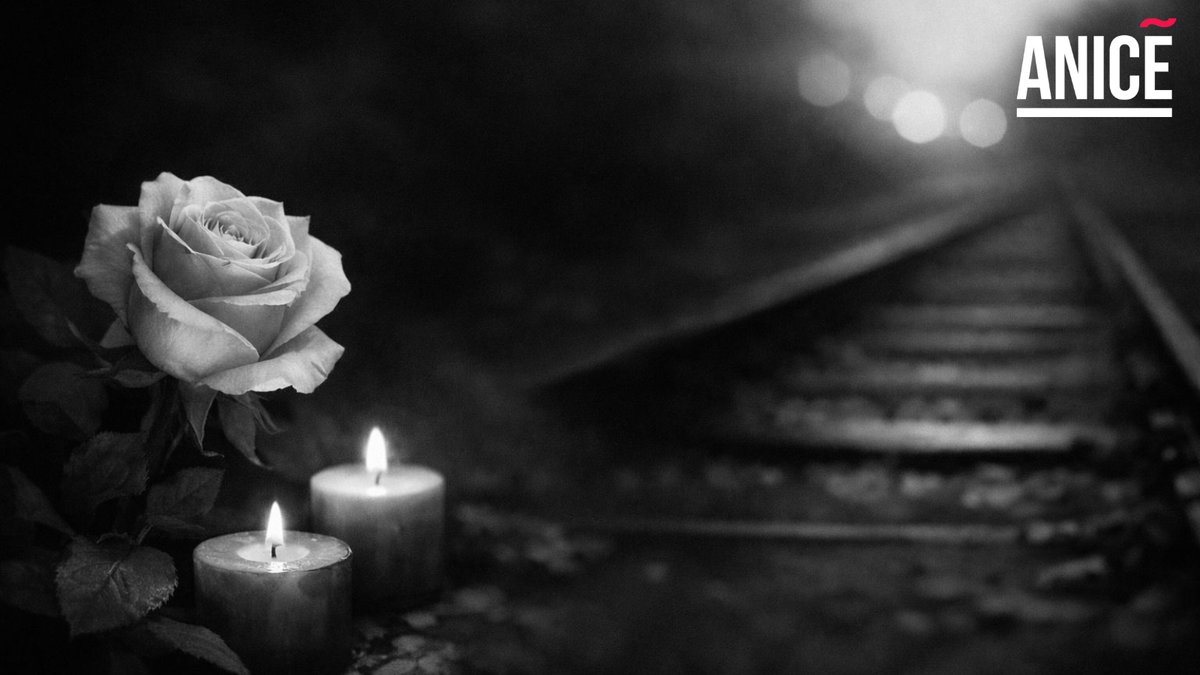 ANICE_ES's tweet photo. 🖤Detrás de cada cifra hay una historia. Vidas y familias rotas, marcadas para siempre por el accidente ferroviario de Adamuz.
Desde #ANICE enviamos nuestro apoyo sincero a las familias afectadas por este inmenso dolor. Que encuentren consuelo en los abrazos anónimos que reciben. https://t.co/z1B42gV4jr