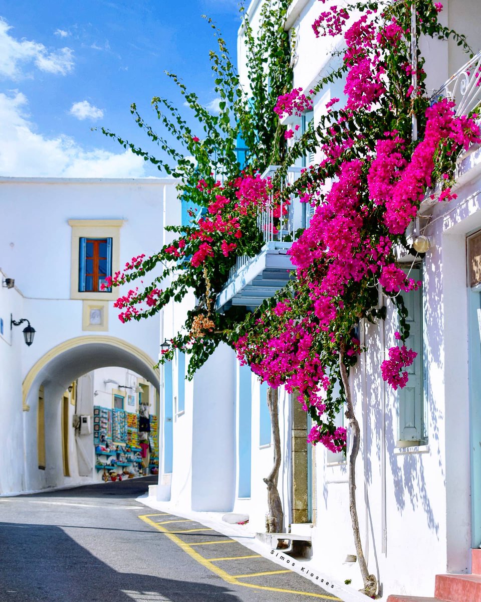 GreekPictures's tweet image. #Kythira blooms slowly, beautifully, and without hurry.🇬🇷
📷 ssimoss88
